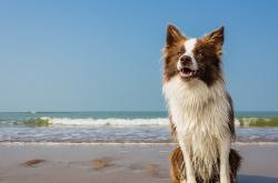 开云体育入口-范戴克一柱擎天！乌拉圭众神鏖战尤文锋线，铁血防守铸就绿茵史诗