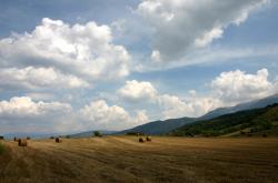 开云体育登录-凯塞多苏醒！终场前刺穿加时，药厂绝境炼真金