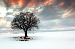 开云体育app-久保建英化身关键先生，加拿大破冰瑞士防线夺胜