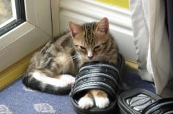 开云体育官网-暗夜轰鸣，布克数据全面爆炸，雷霆团队硬仗突破步行者