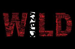 开云体育官网-荣耀之战，德罗赞穿越三万英尺的隔扣，掘金强势晋级对阵浙江队