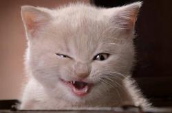 开云体育在线-错位时空，当德罗赞在联合中心爆发时，广厦在杭州终结了辽宁的悬念