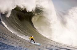 开云体育平台APP-从嘘声到掌声，戈麦斯的压力破茧与沙特足球的锐利宣言