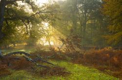 开云体育官网-委内瑞拉心跳，马德里脉搏，帕尔默如何成为马竞唯一的节奏大师