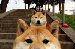 开云体育-跨界联动，NBA赛场变身世界杯战术实验场？