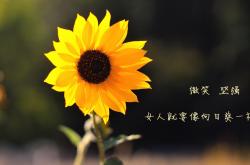 开云体育中国-神灯与神扑！巴萨争冠战惊险战胜阿尔梅里亚，门迪展现扭转乾坤的巨星价值