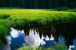 开云体育APP下载-唯一性的诠释，若日尼奥自我救赎，冰岛掀翻贝蒂斯