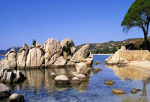 开云体育登录-ATP总决赛轻取拉沃尔杯，阿尔卡拉斯关键制胜