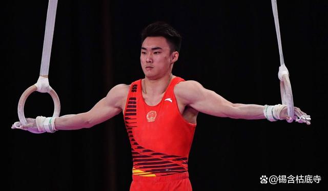 关于体操再创历史，冠军实至名归的信息