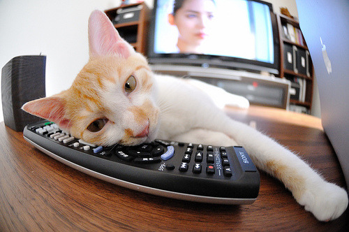 时空错位的王者，当阿什拉夫身披红魔战袍碾压勒沃库森