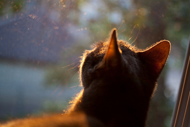 鏖战与纪录之夜,法国队力拼韩国队,奥恰洛夫刷新历史