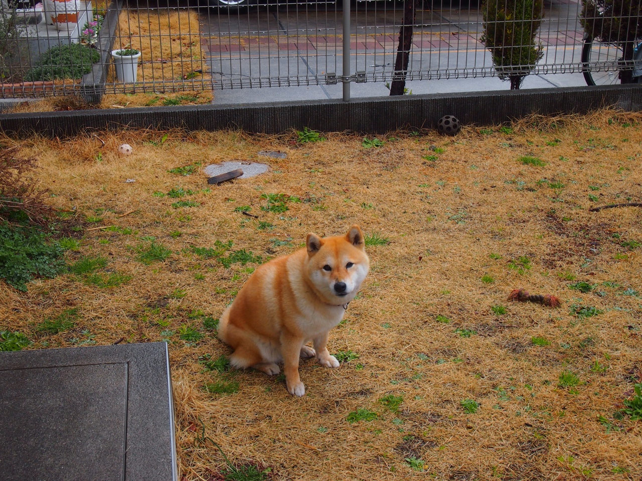 外援孤星，悬崖边约基奇式胜利撕裂辽宁不败金身