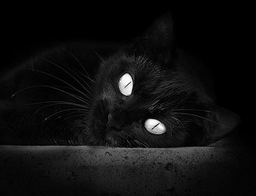 小国智慧的逆袭,洪都拉斯如何用末节战术征服亚特兰大