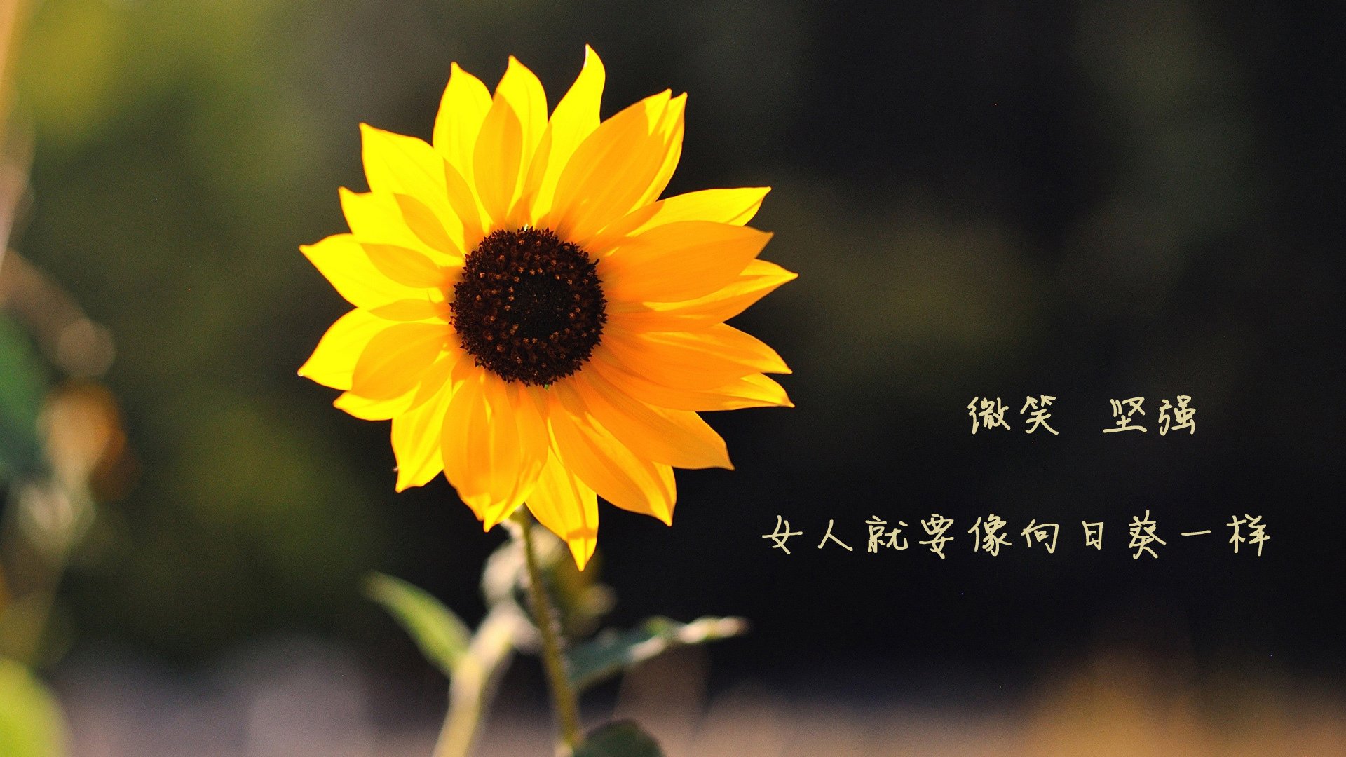 锁与钥匙,当铁血防守遇见撕裂长空的钥匙匠