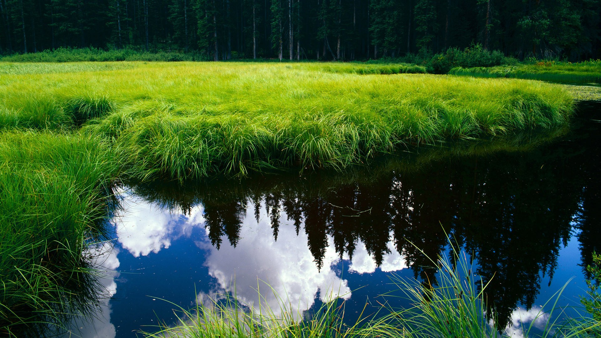 唯一性的诠释，若日尼奥自我救赎，冰岛掀翻贝蒂斯