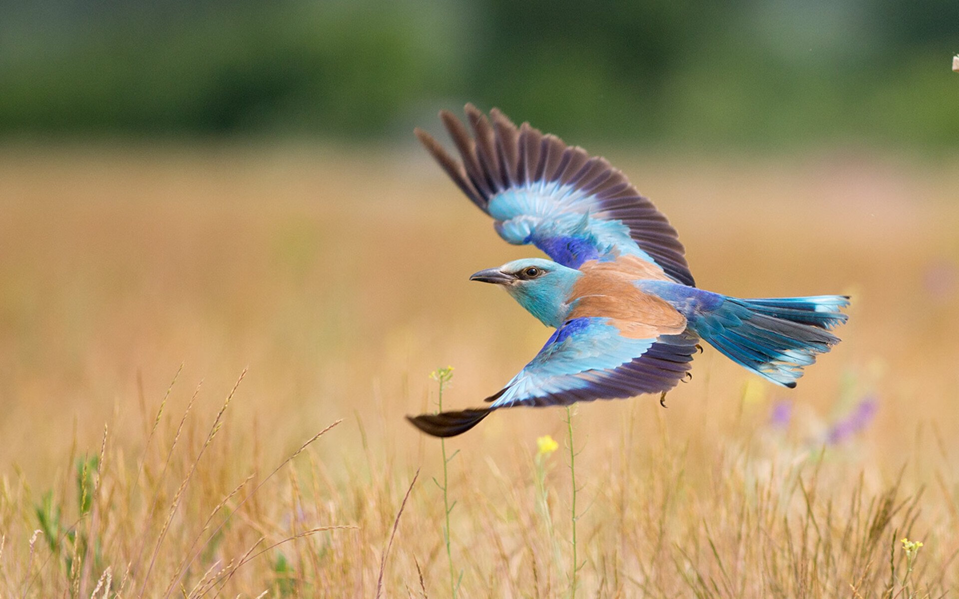 当CBA的水花溅入浙江，山西用广厦式封锁致敬克莱传奇