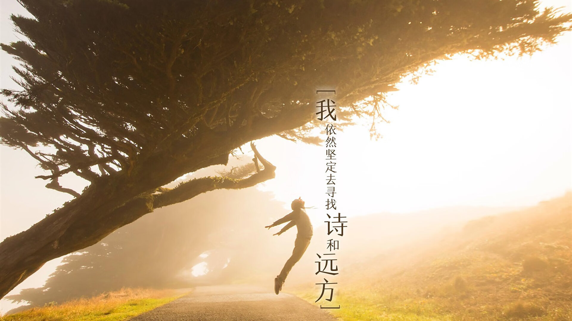 一秒钟的永恒,托纳利压哨绝杀,葡萄牙在绝境中触摸2026