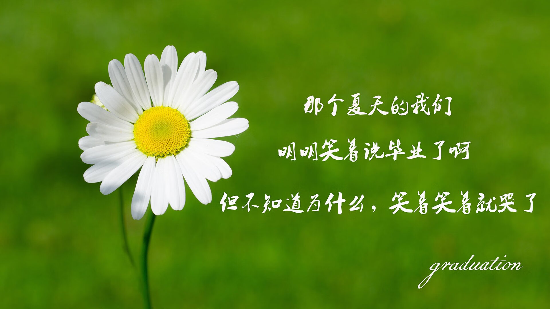 暹罗之夏的孤勇，当莱万的光芒刺破F组迷雾，比利时遭遇最冷热带风暴