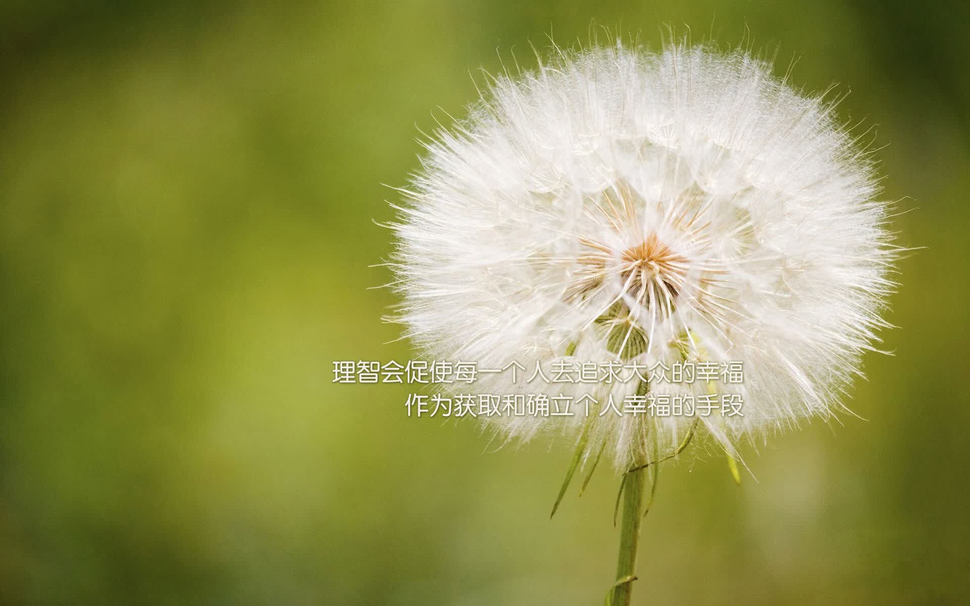 独步天下—2026世界杯C组生死战，京多安导演完美复仇，喀麦隆铁血防反埋葬匈牙利