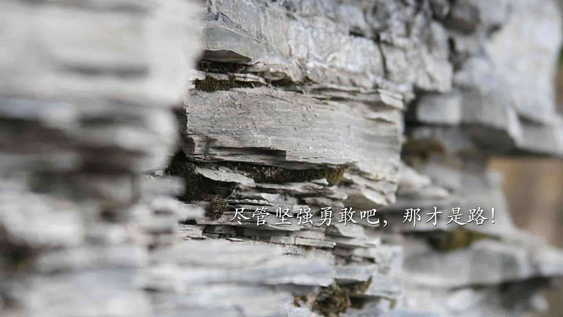 致命一击的黄昏，当齐耶赫的弧线划破巴西的完美剧本