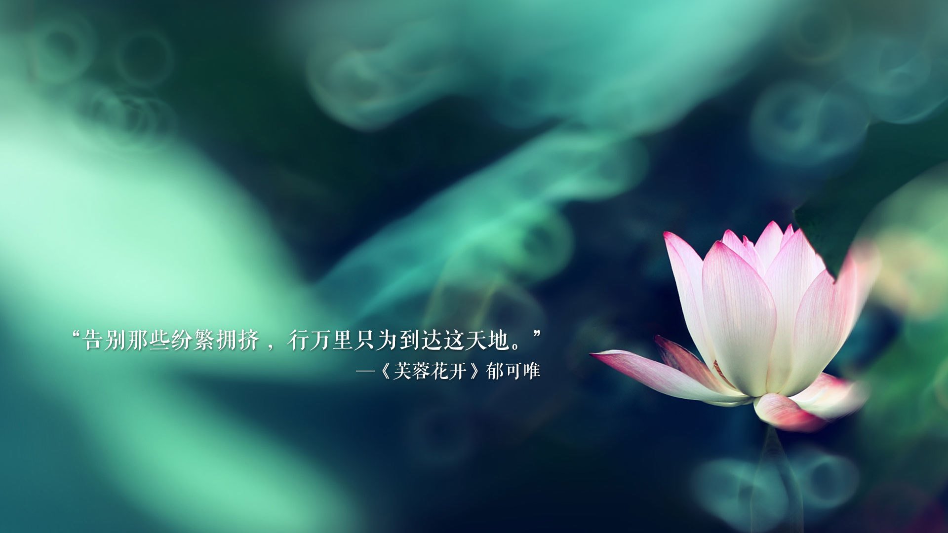 一球定乾坤,佩德里导演丝绒革命,斯洛伐克用一场胜利重写新大陆的足球叙事